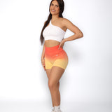Ombré Shorts 2.0
