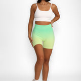 Ombré Shorts