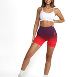 Ombré Shorts 3.0 - Allure The Brand