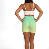 Ombré Shorts 3.0 - Allure The Brand